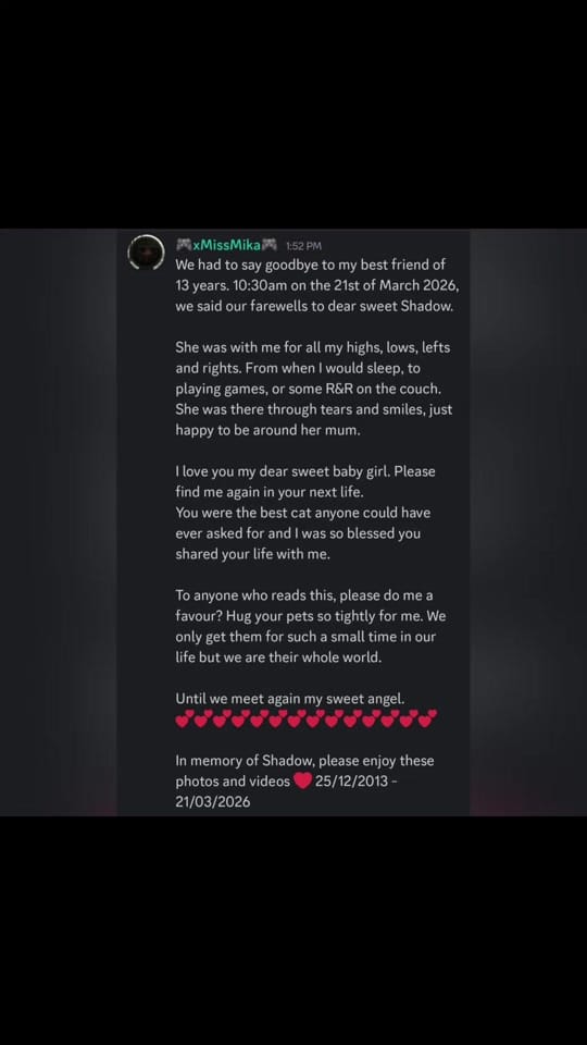 Post 1 by xmissmika on TikTok (video)