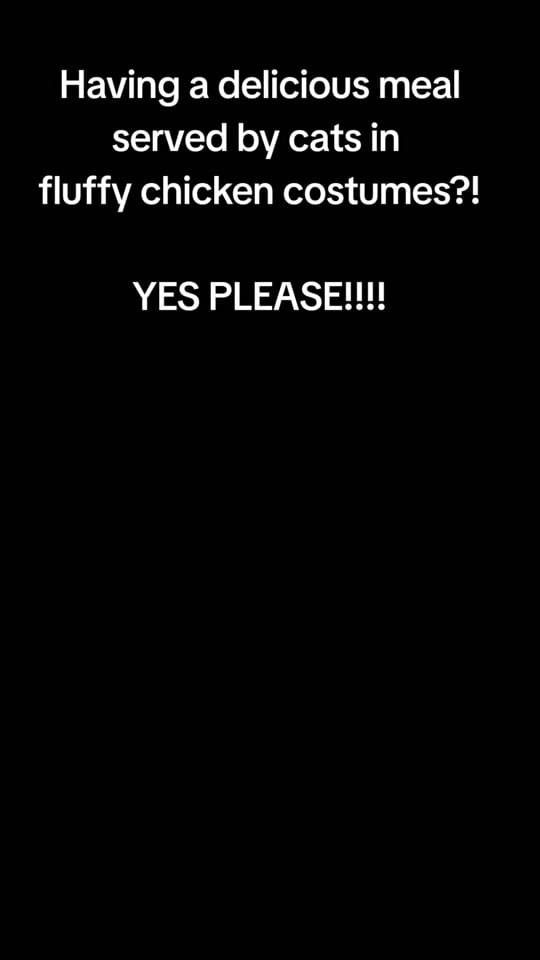 Post 2 by xmissmika on TikTok (video)