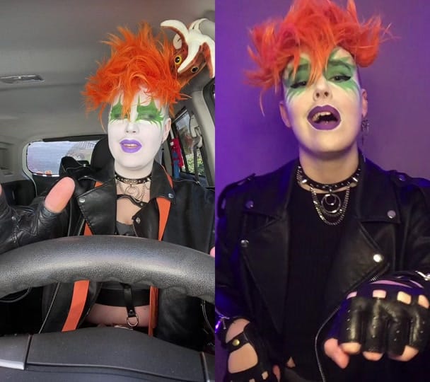 Post 4 by 🌻Sunflowerstorm🌻 on TikTok (video)