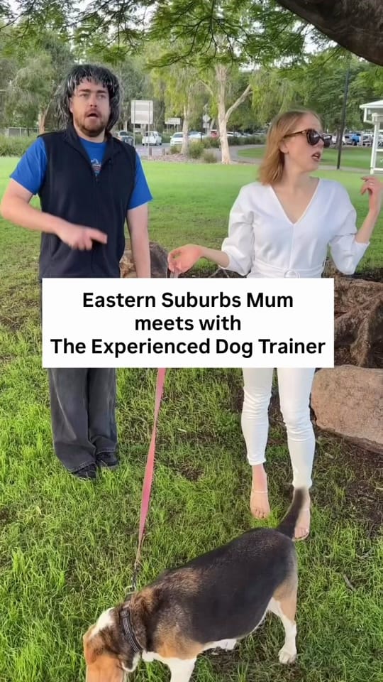 Post 8 by Charlotte Grimmer on TikTok (video)