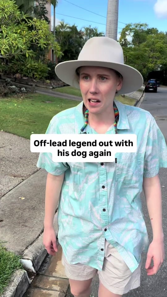 Post 2 by Charlotte Grimmer on TikTok (video)