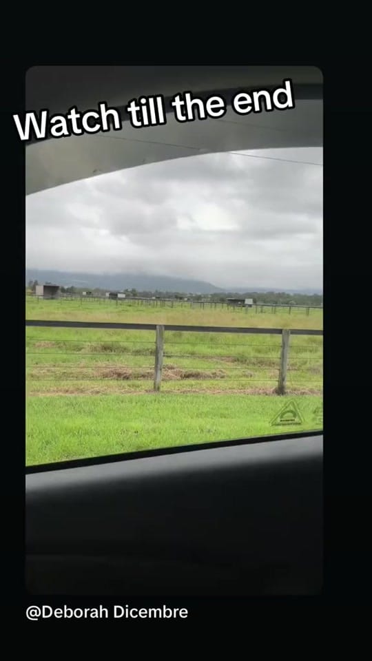 Post 4 by Deborah Dicembre on TikTok (video)