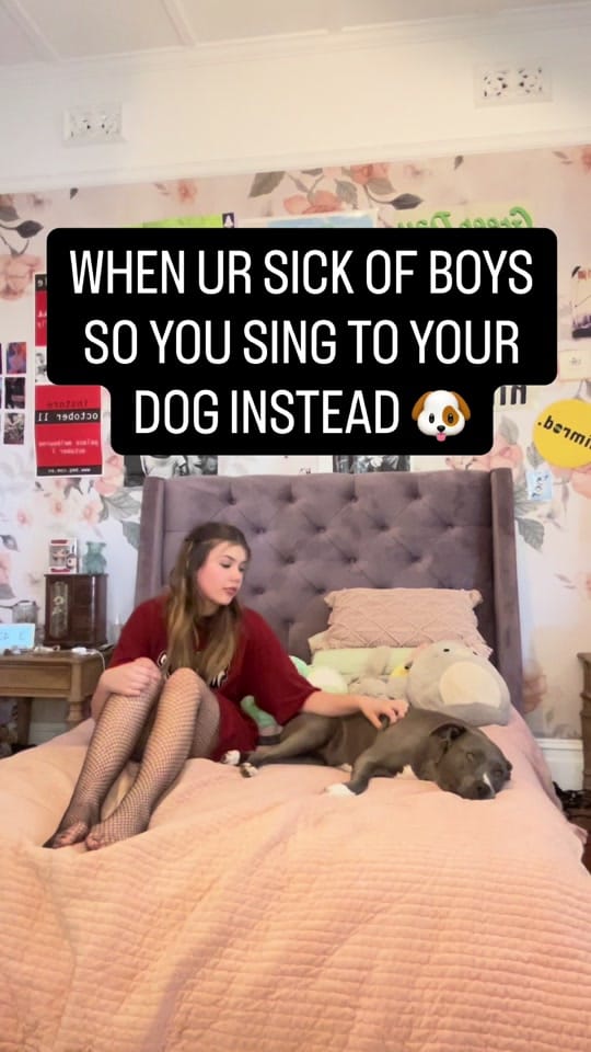 Post 6 by maplespetdinosaur on TikTok (video)