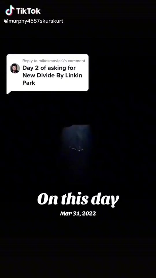 Post 3 by Papa Alfredo on TikTok (video)