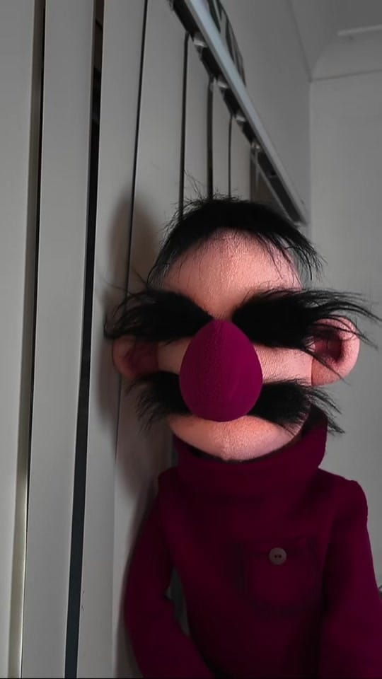 Post 3 by Imaginary Menagerie on TikTok (video)