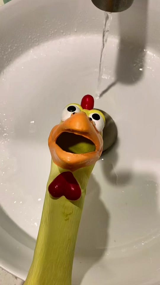 Post 10 by Imaginary Menagerie on TikTok (video)