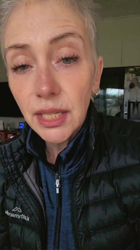 Post 5 by Jill Crazy cat lady on TikTok (video)
