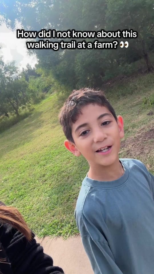 Post 5 by Summarcharm on TikTok (video)