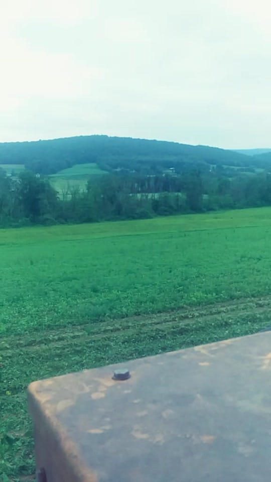 Post 5 by timothy g  mathes on TikTok (video)