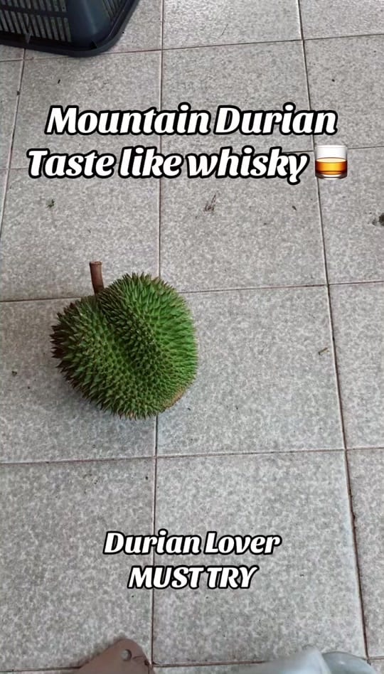 Post 4 by Ken_Sim79 on TikTok (video)