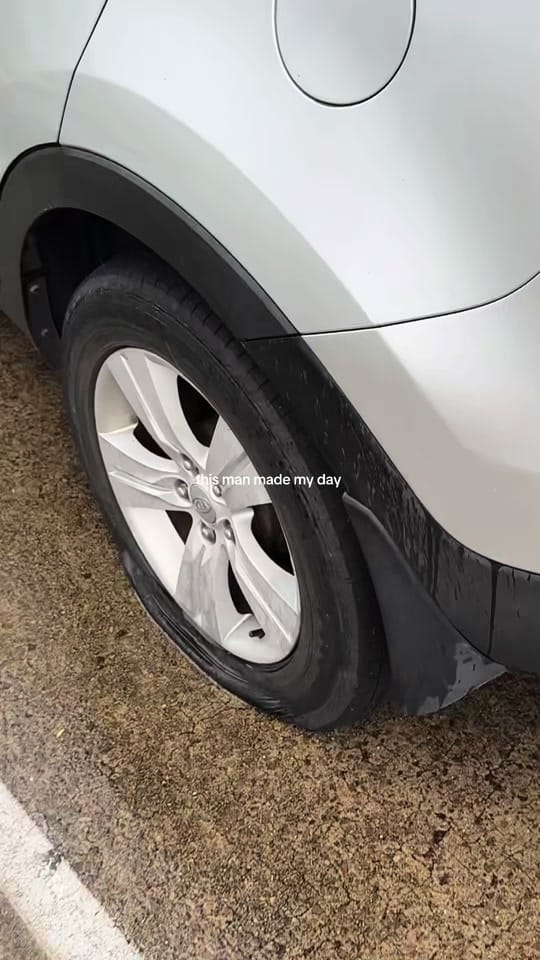Post 2 by holly on TikTok (video)