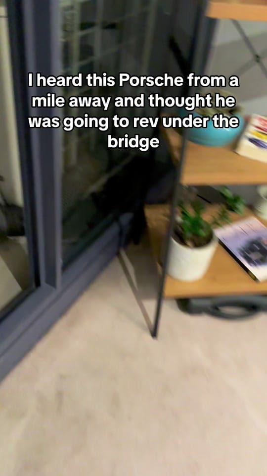 Post 8 by Nick Visser on TikTok (video)