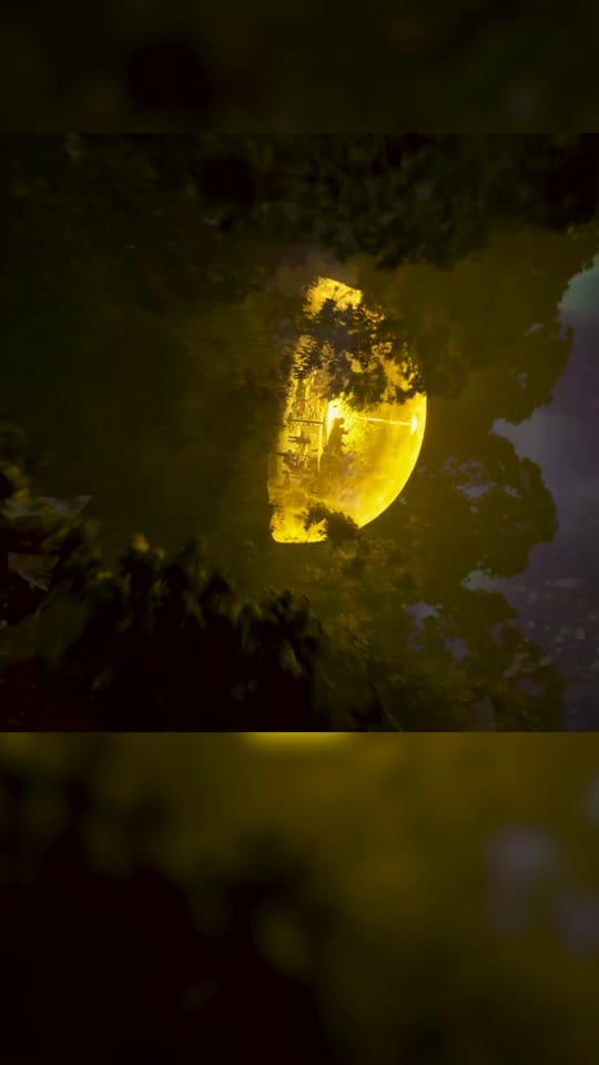 Post 4 by Macabre on TikTok (video)