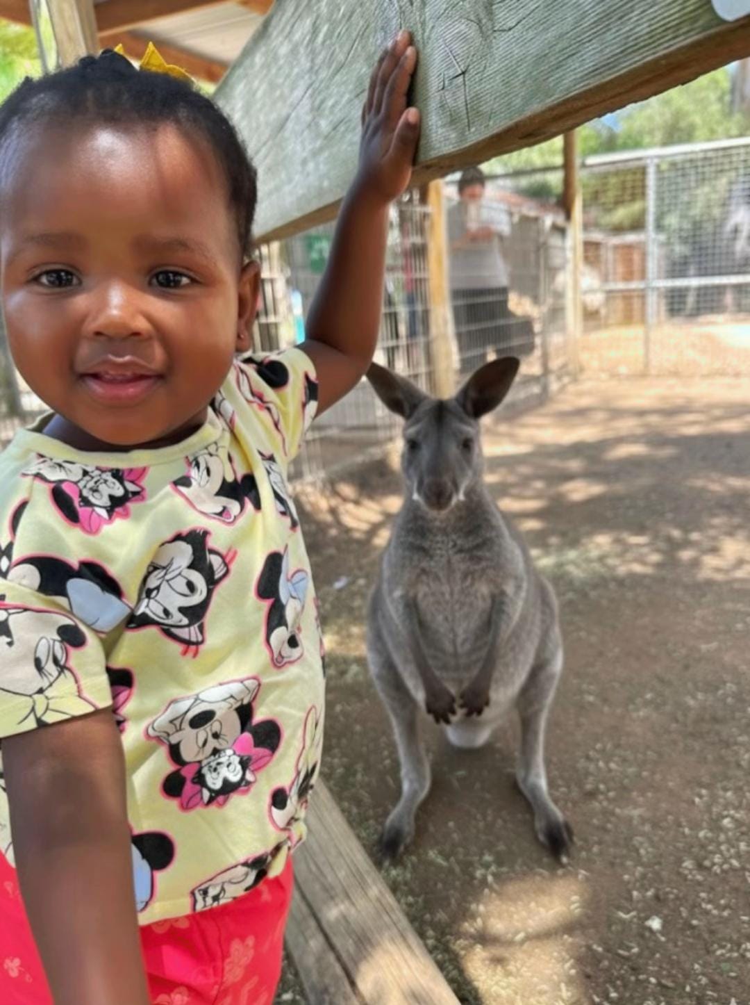 Post 1 by Zimbo Downunder on TikTok (video)