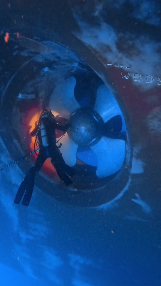 Post 9 by auscomdiver on TikTok (video)