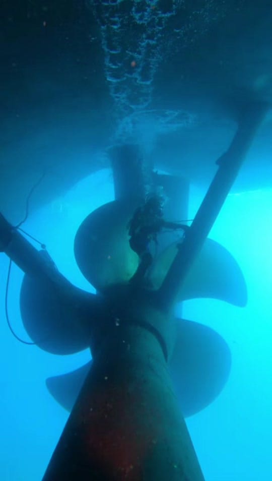 Post 8 by auscomdiver on TikTok (video)