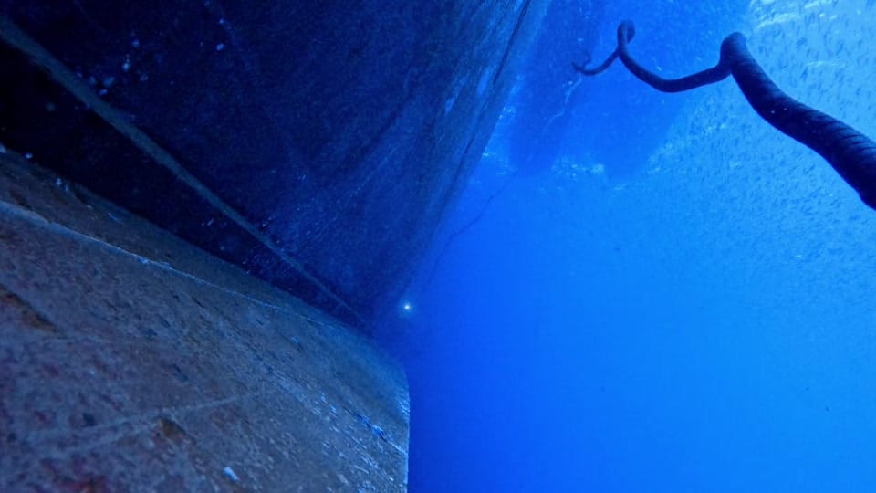 Post 1 by auscomdiver on TikTok (video)