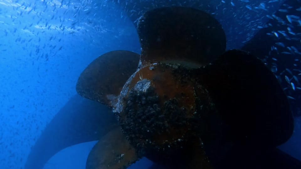 Post 3 by auscomdiver on TikTok (video)