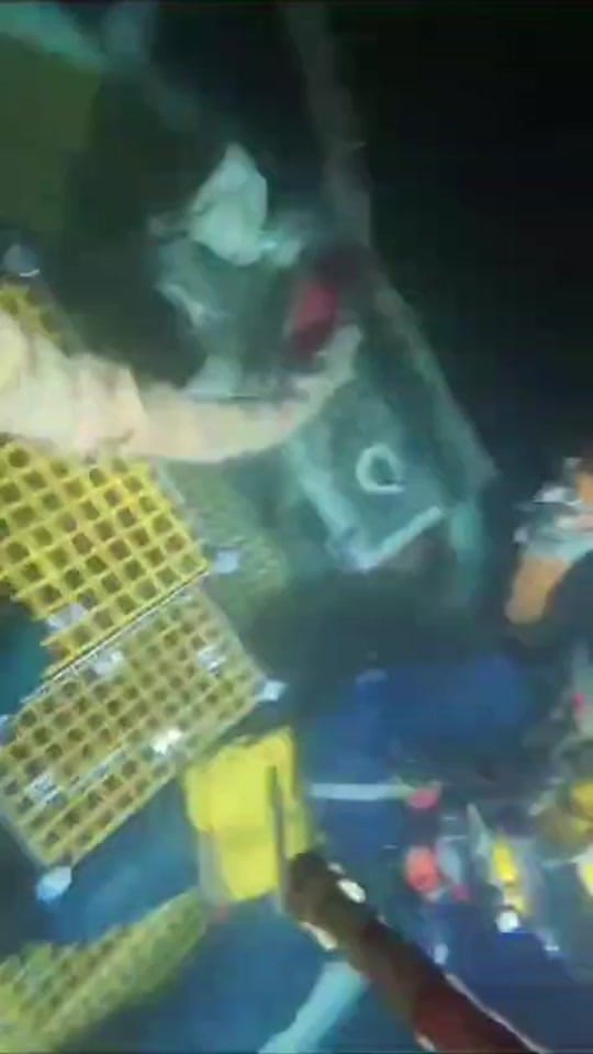 Post 6 by auscomdiver on TikTok (video)