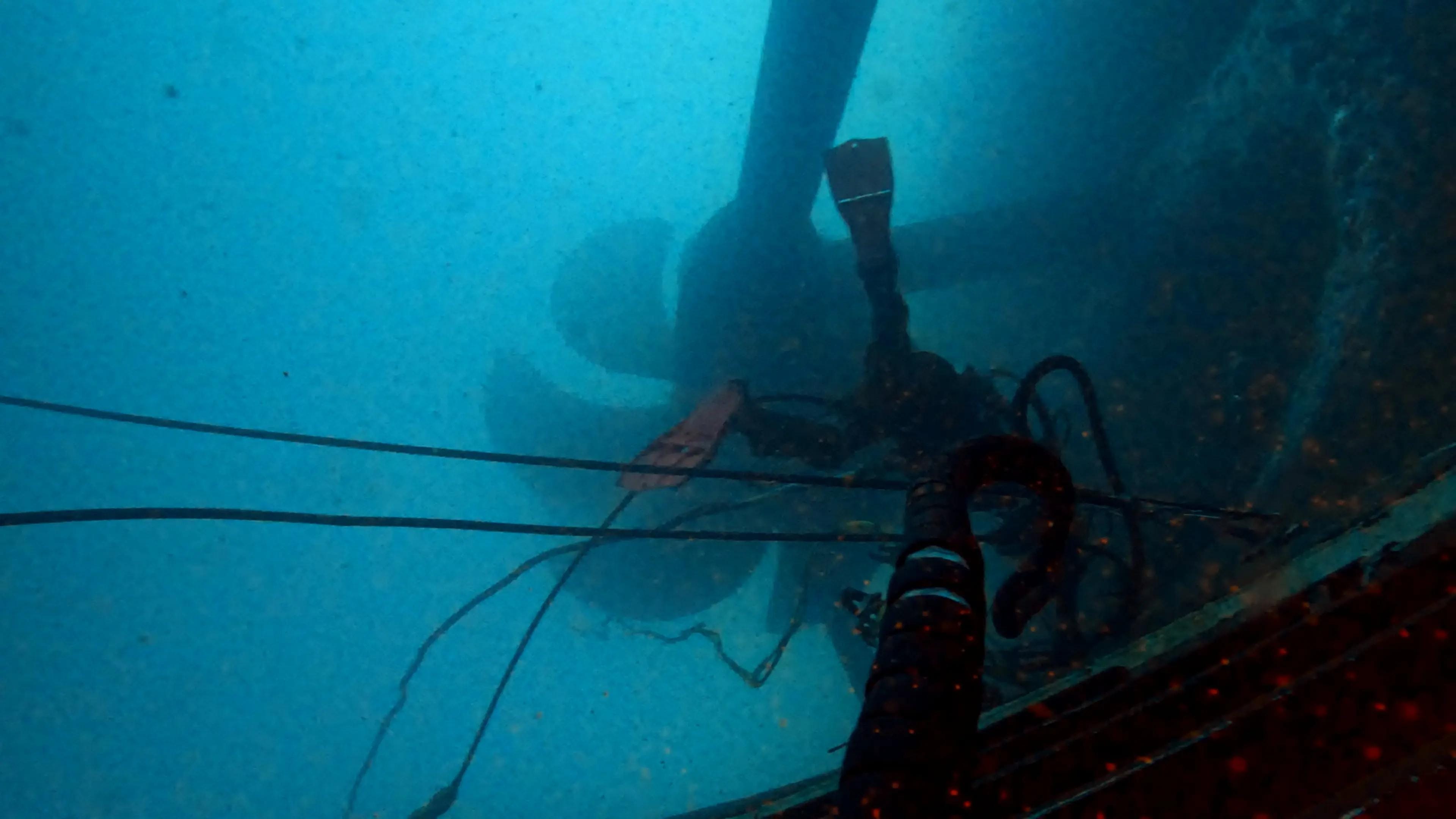 Post 4 by auscomdiver on TikTok (video)