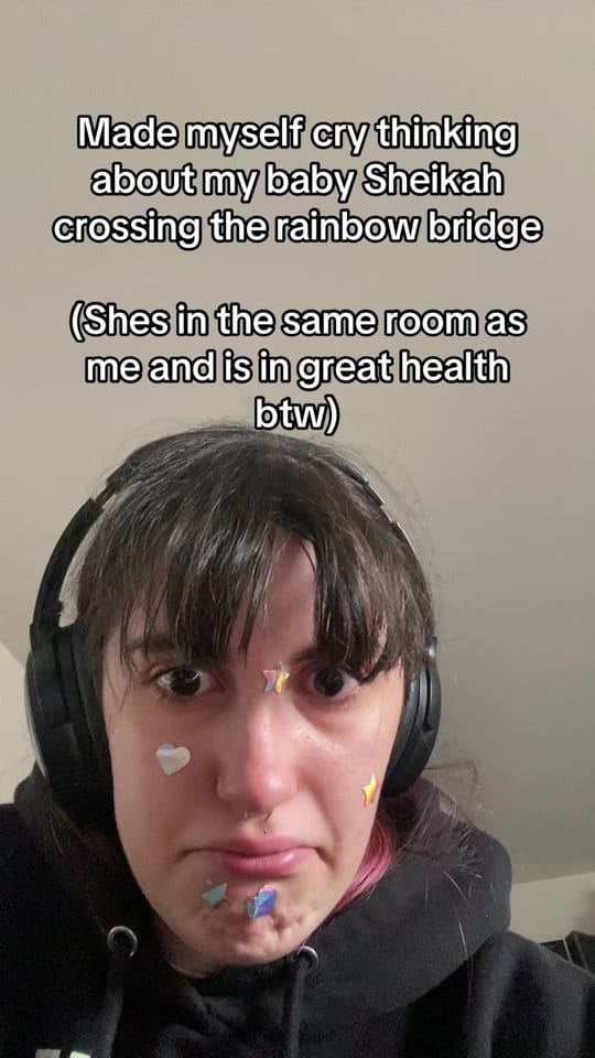 Post 4 by SophaSopha on TikTok (video)