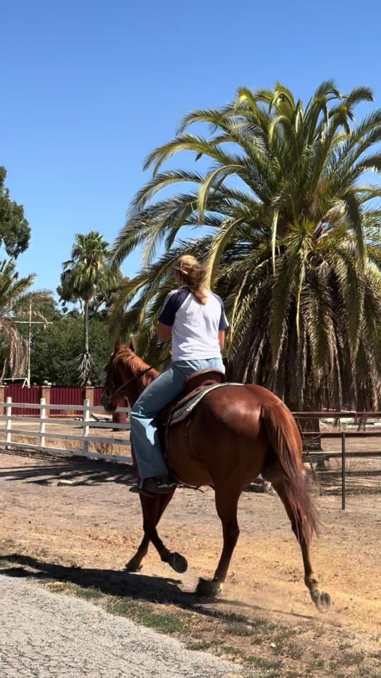 Post 3 by Ally Morphett ★ on TikTok (video)