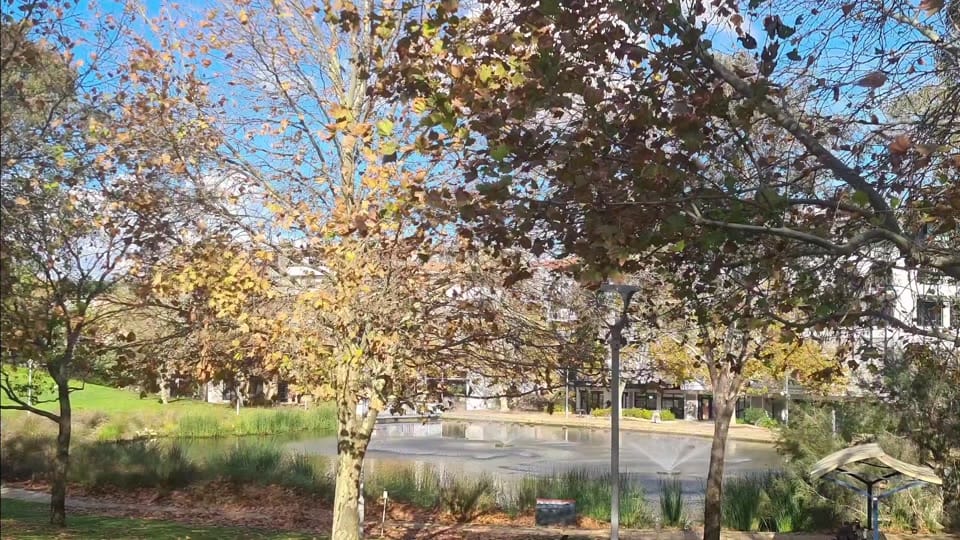 Post 3 by pandafox on TikTok (video)