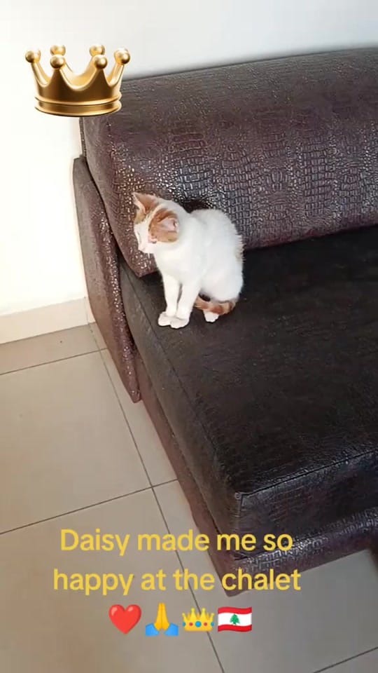 Post 9 by Sultana Florance Geagea 👑🇦🇺 on TikTok (video)