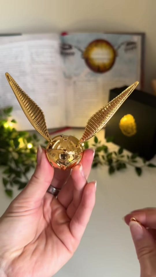 Post 3 by Mischief Alley on TikTok (video)
