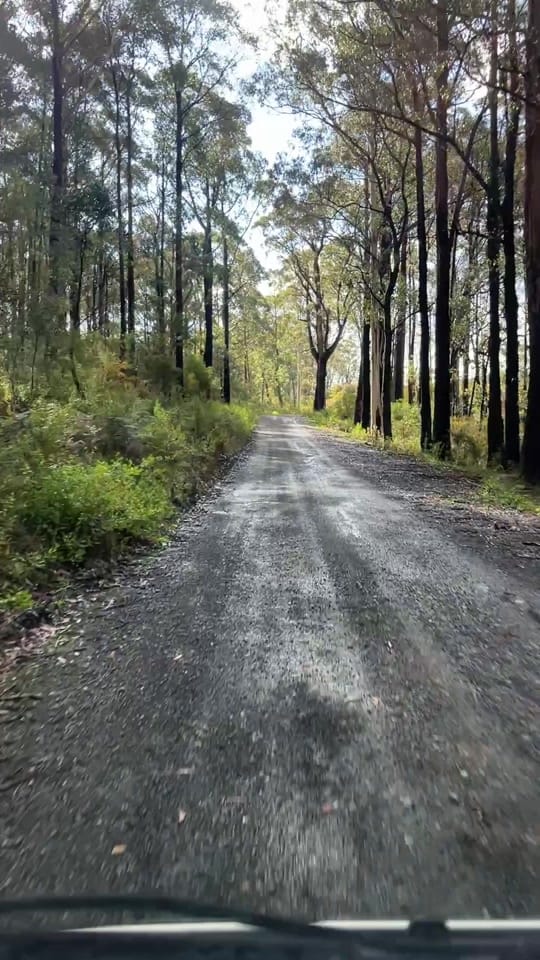 Post 3 by Jess Cavanagh on TikTok (video)