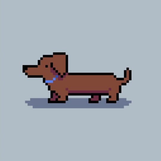 Post 3 by Missing Dog on TikTok (video)
