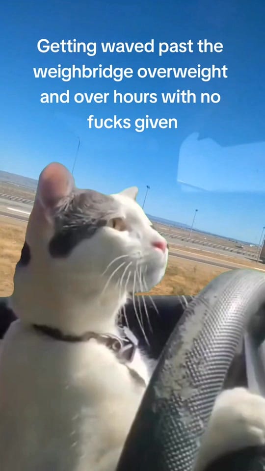 Post 5 by Matt on TikTok (video)