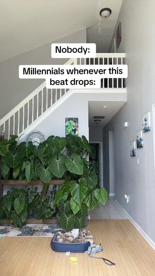 Post 7 by Plantslovedee on TikTok (video)