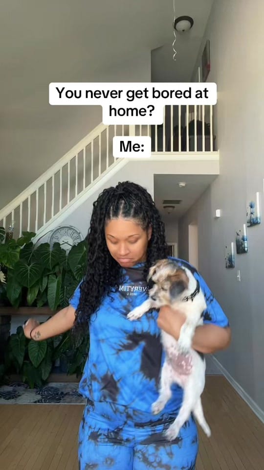 Post 4 by Plantslovedee on TikTok (video)