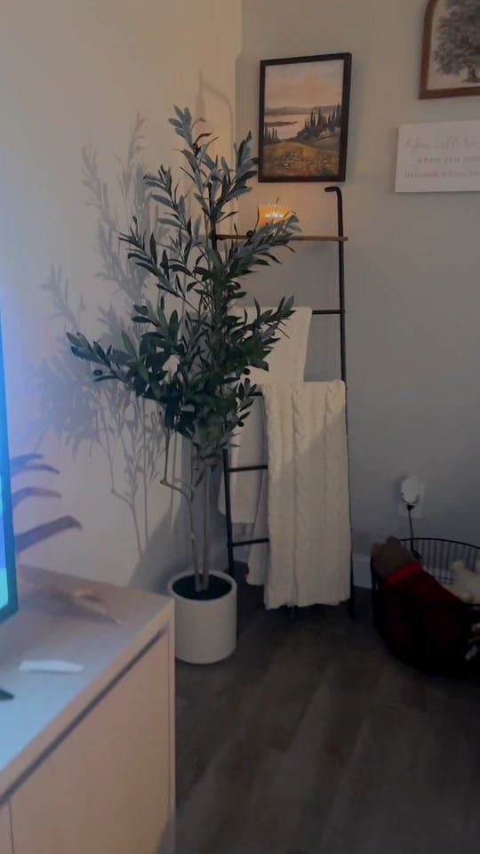 Post 7 by rylea.basinger on TikTok (video)