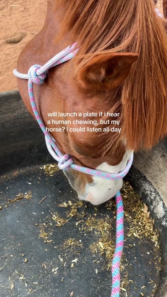 Post 3 by Milly || Outback life ⭐️ on TikTok (video)
