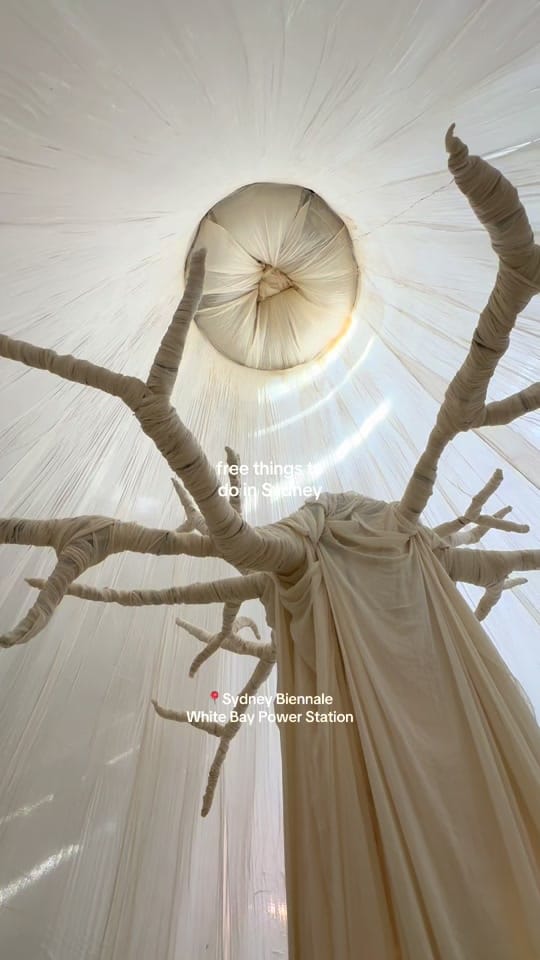 Post 8 by kate evans on TikTok (video)