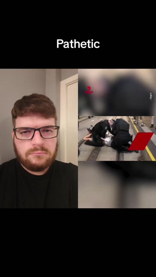 Post 3 by Vexed Forest on TikTok (video)