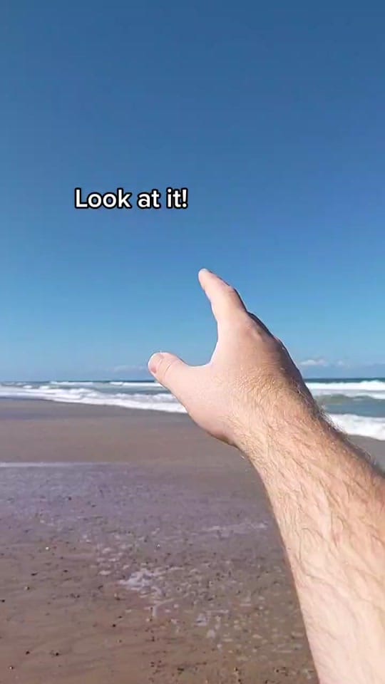 Post 10 by Vexed Forest on TikTok (video)