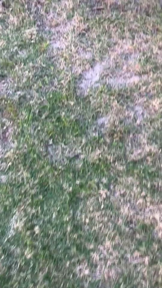 Post 9 by BoosterKings on TikTok (video)