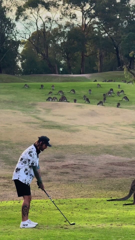 Post 9 by Bubs on TikTok (video)