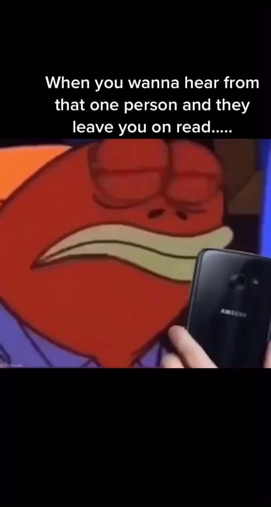 Post 8 by Matty on TikTok (video)