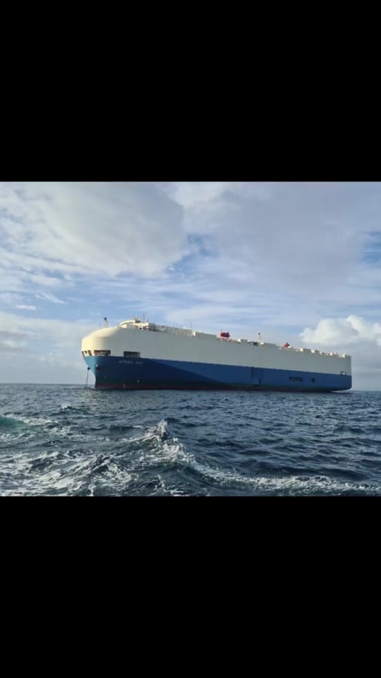 Post 10 by The Sea Eshay on TikTok (video)