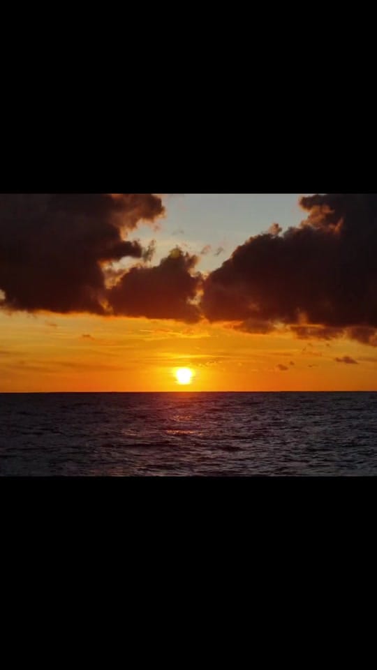 Post 5 by The Sea Eshay on TikTok (video)