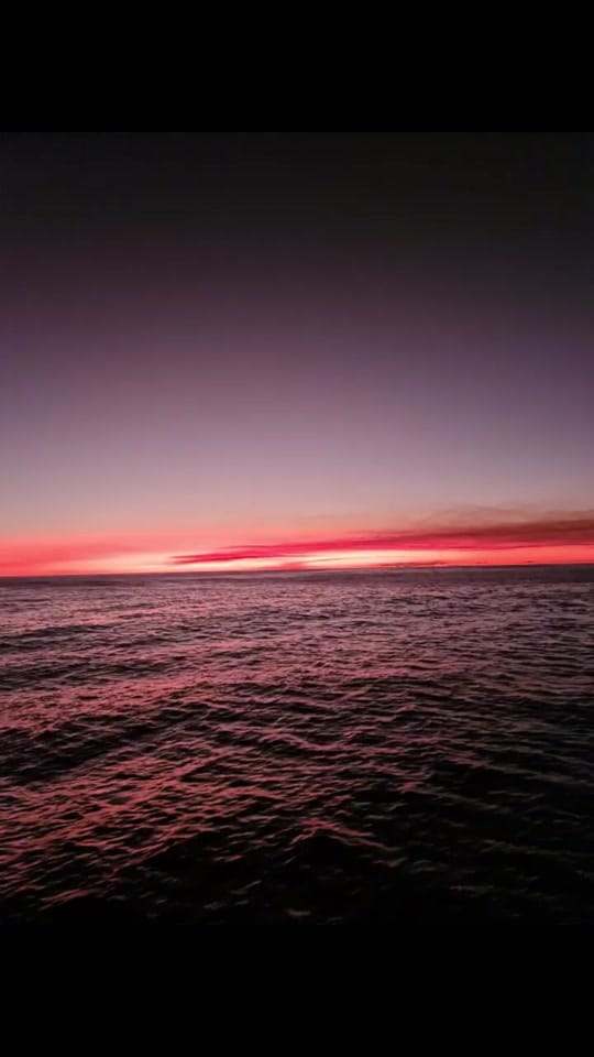 Post 4 by The Sea Eshay on TikTok (video)