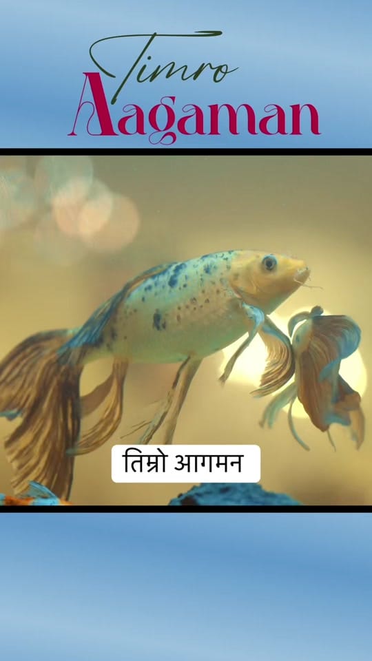 Post 10 by Raman Regmi on TikTok (video)