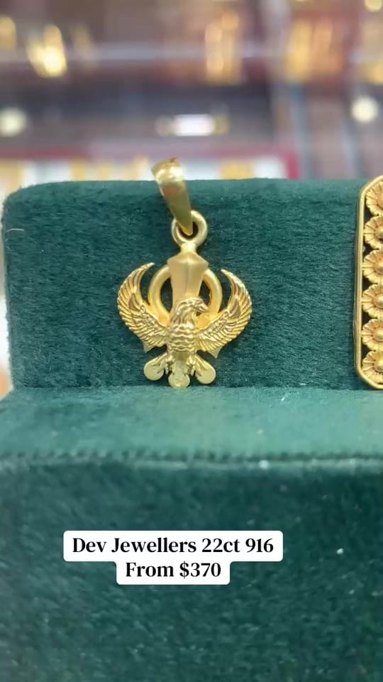 Post 8 by Singh Gursharan on TikTok (video)