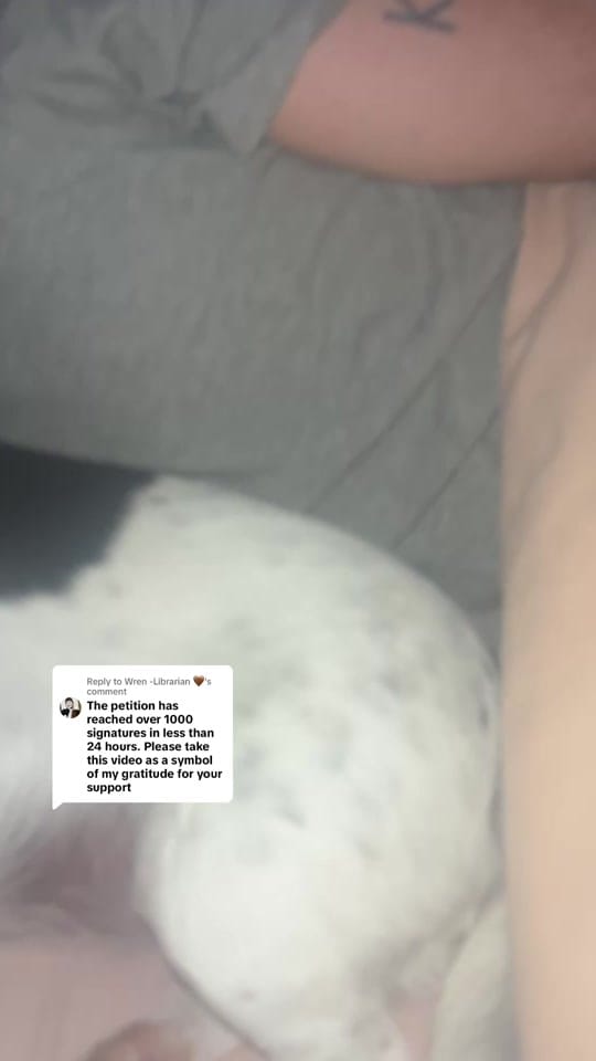 Post 6 by Wren -Librarian 🤎 on TikTok (video)