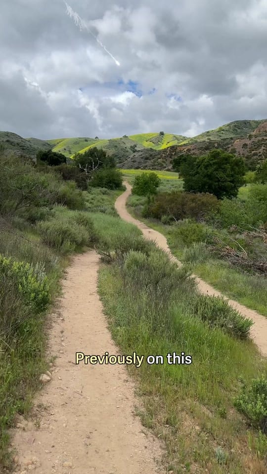 Post 5 by Boomer Casserly on TikTok (video)