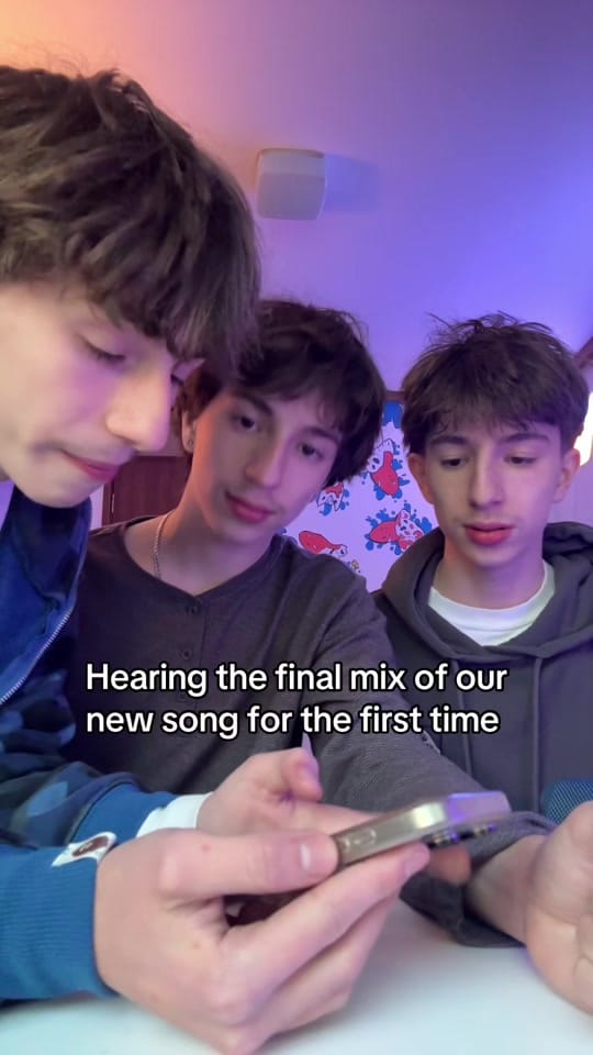 Post 4 by Birdland on TikTok (video)